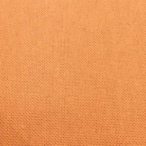036 Coral Exotic Linen