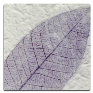 Paper Kozo - Fossil Leaf Purple